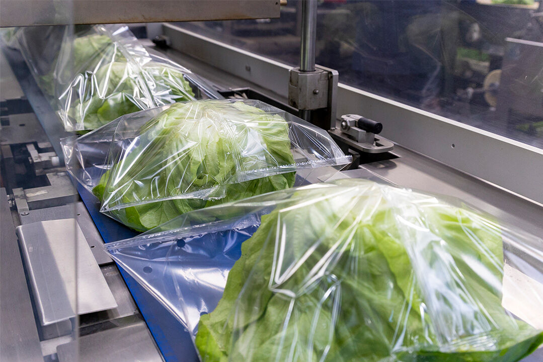 Stickstofferzeugung aus Druckluft in der Lebensmittelindustrie