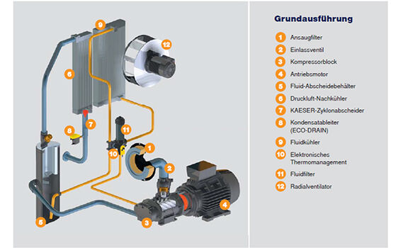Funktion eines oelgeschmierten Kompressors Schaubild oelgeschmierter Kompressor